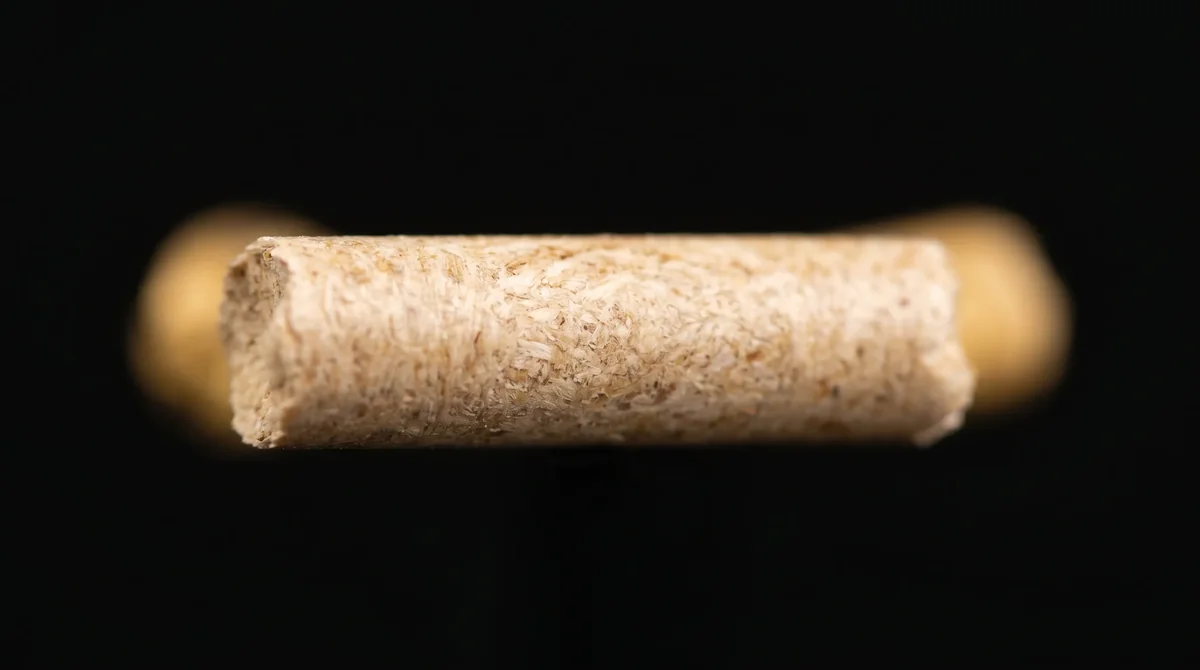 Makro - pojedyncza granulka pelletu drzewnego ENplus A1 - gładki cylinder sprasowanych trocin 6 mm - definicja pelletu drzewnego